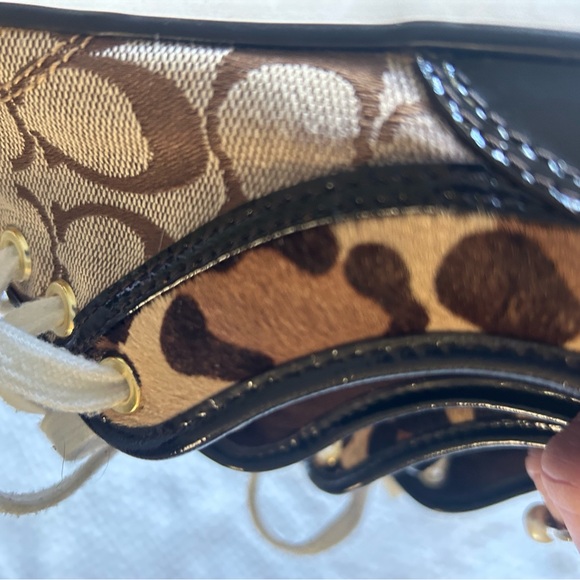 Coach 7.5 Signature C Zorra sneakers with cheetah trim. Really good shape. - Picture 9 of 12